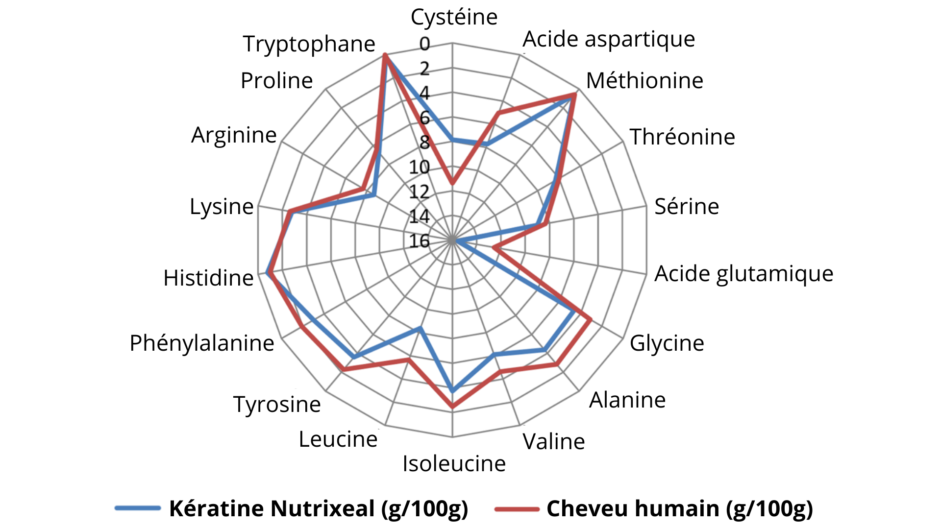 Diagramme de Kiviat et forte similitude entre la kératine cynatine hns Nutrixeal et celle du cheveu humain